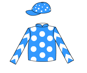 BEN'S FOLLY (IRE)